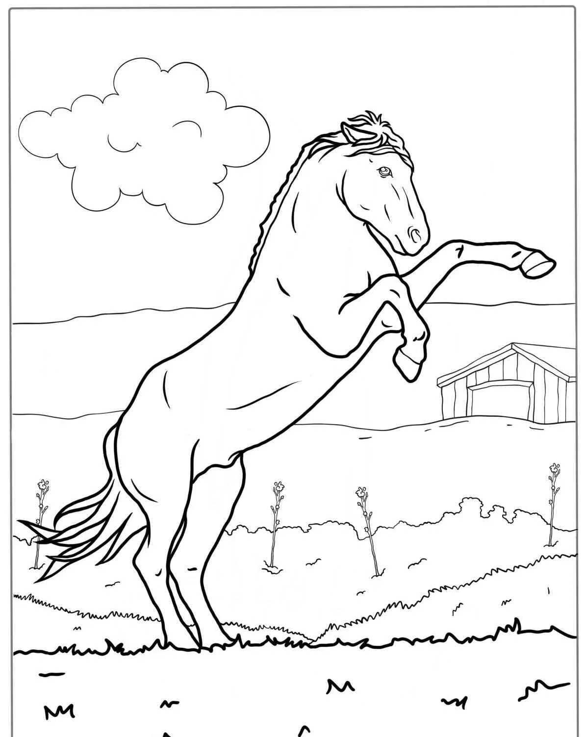 caballo Encabritado Página Para Colorear
