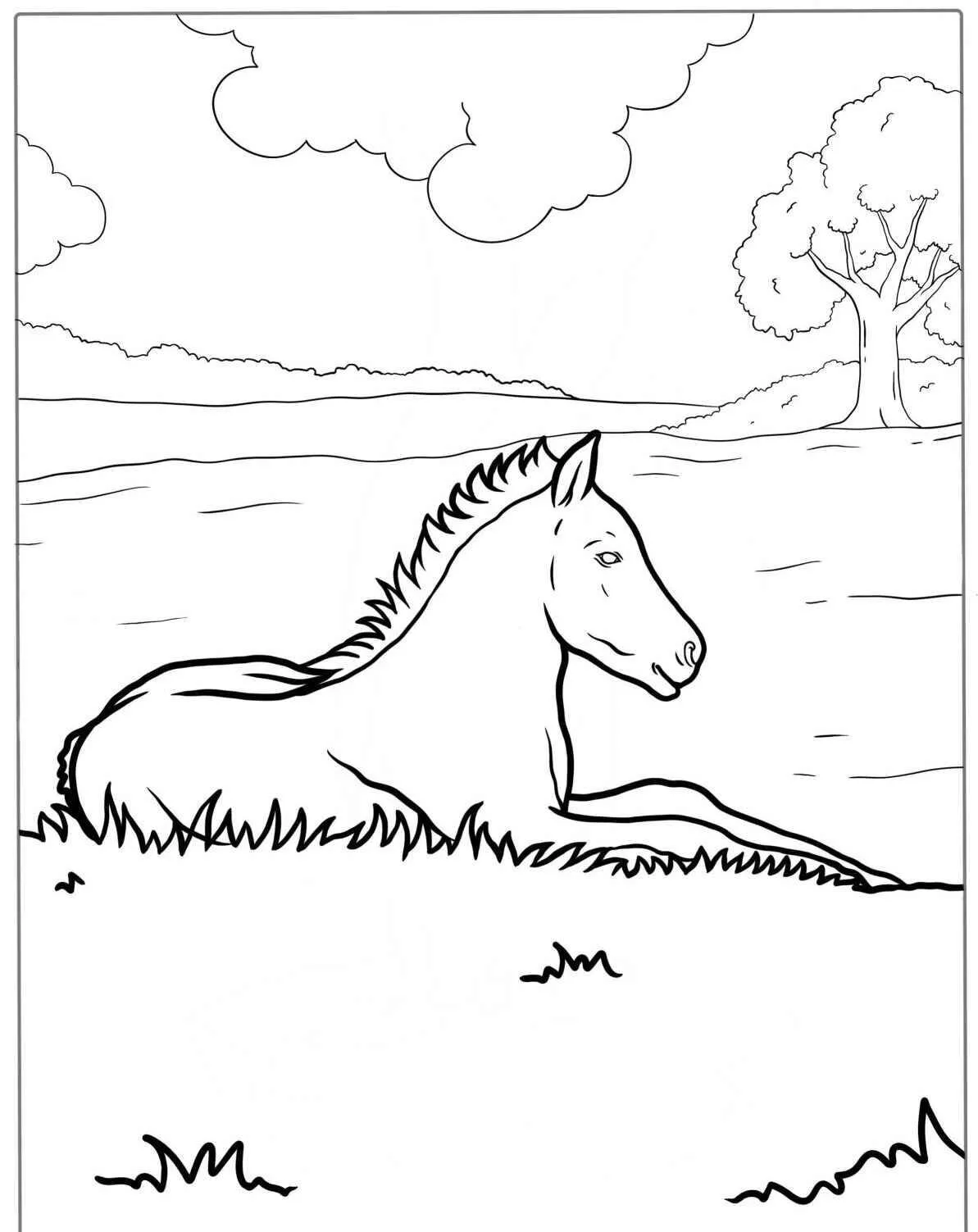 caballo descansando junto al lago Página para colorear