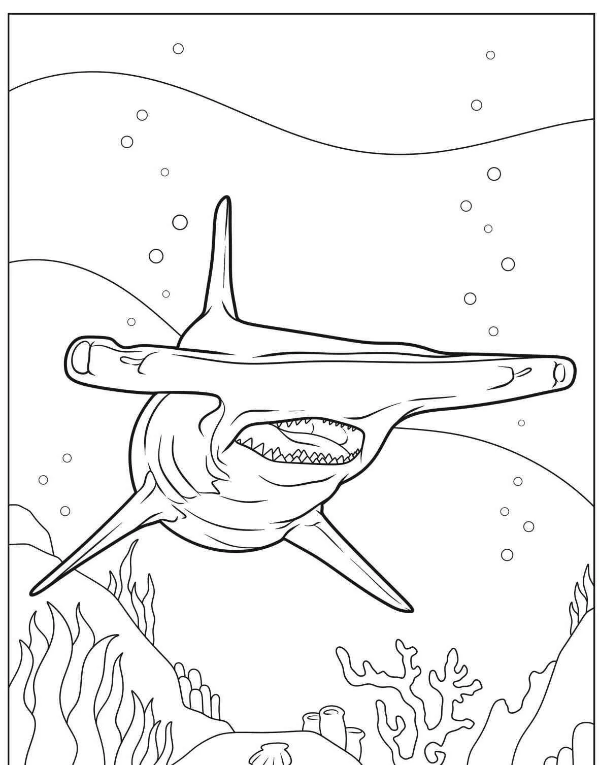 Coloriage requin marteau