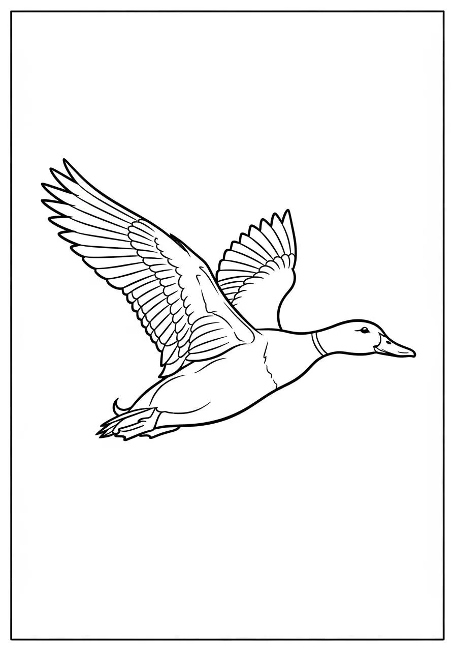Desenho de Pato Voando sobre o Lago para Colorir