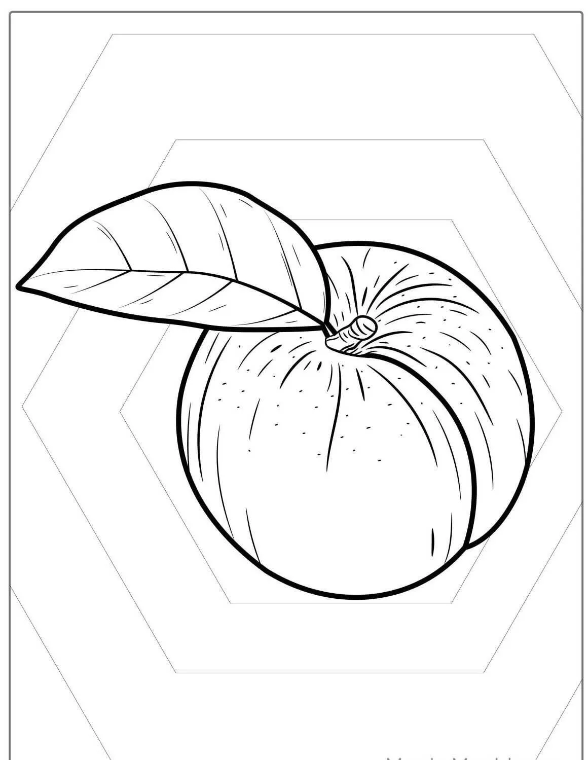 Coloriage de fruits de pêche