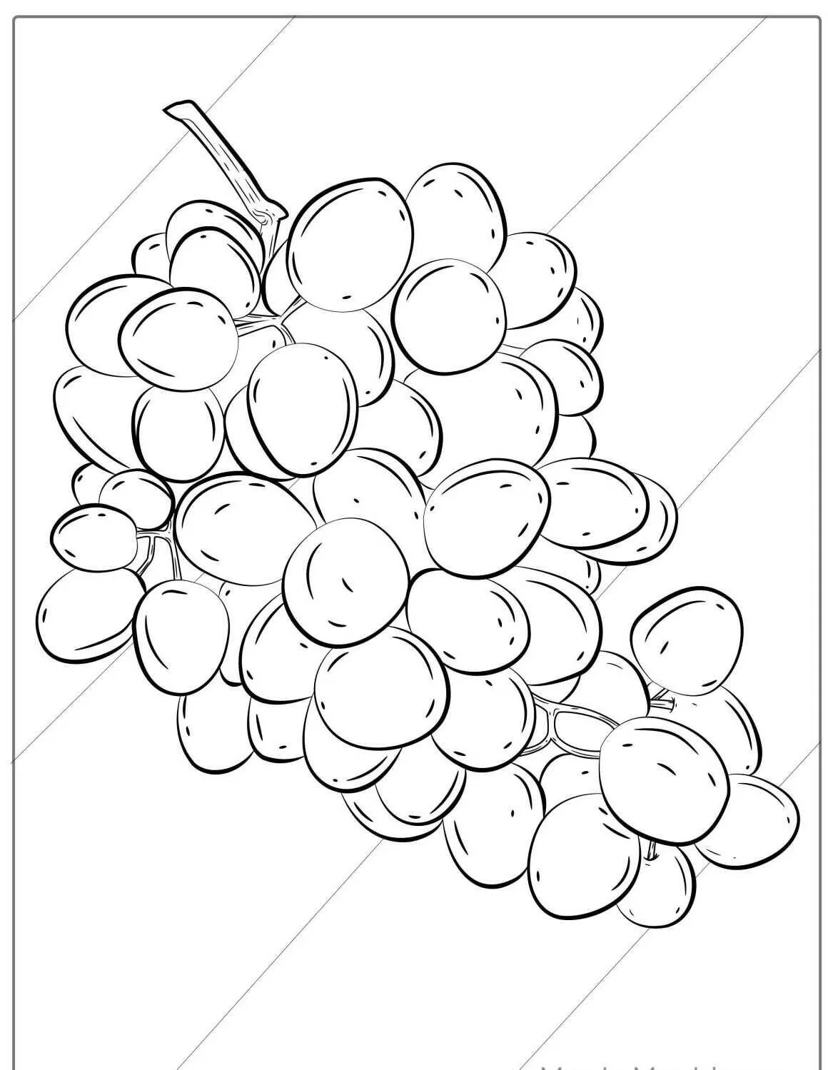 Página para colorear de fruta de uva con racimo