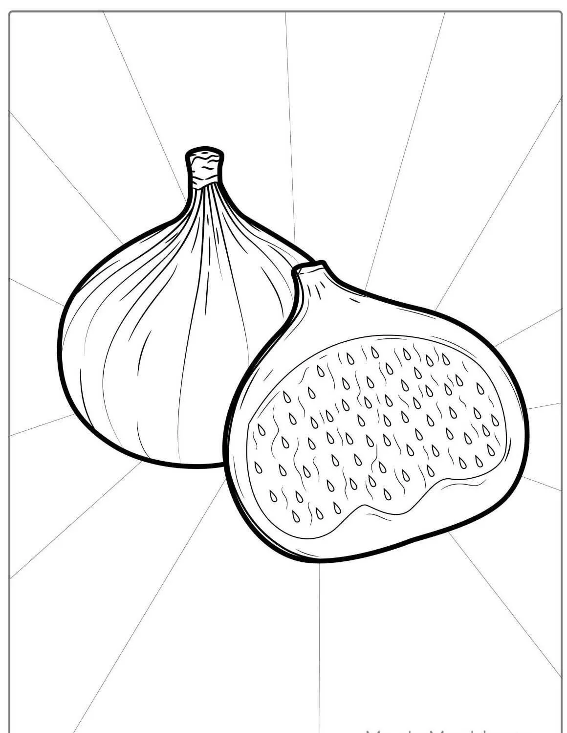 Fruta De Higo Página Para Colorear