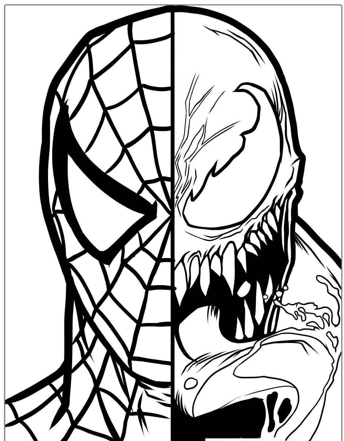 Desenho de Homem Aranha e Venom para Colorir