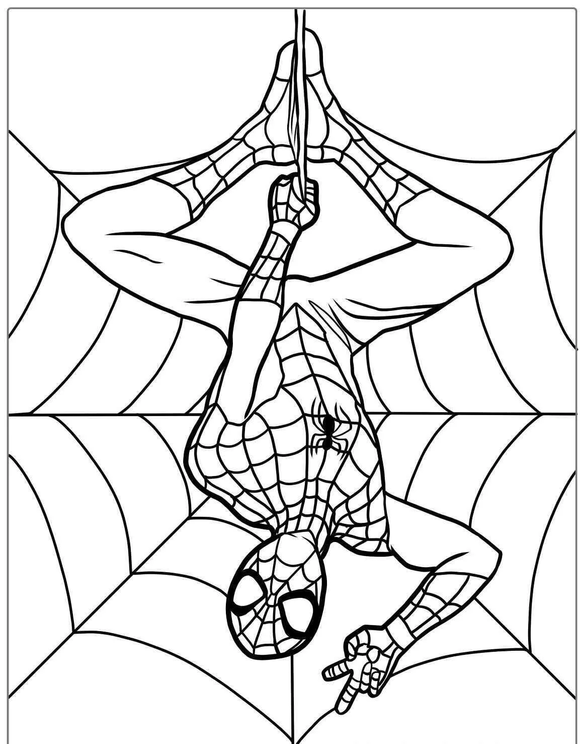 Desenho de Homem Aranha Pendurado na Teia para Colorir