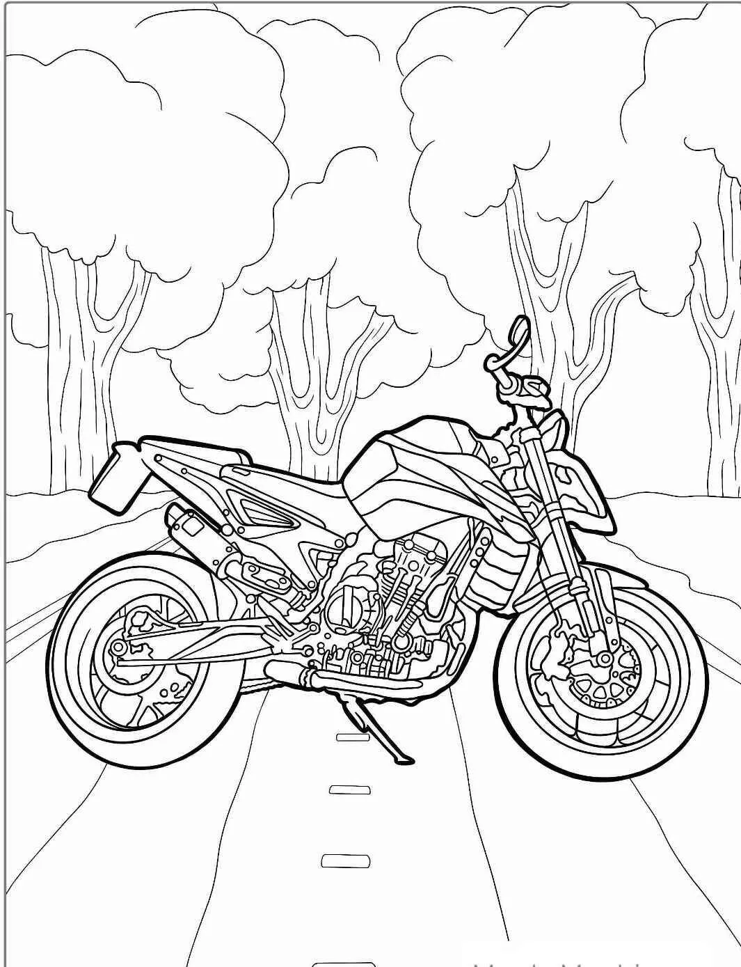 Dibujo para colorear de motocicleta desnuda en una carretera con árboles