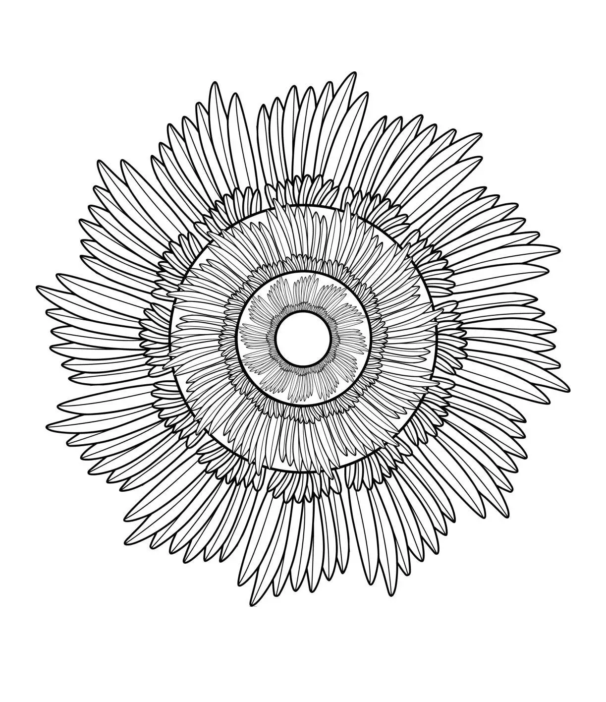 Floral Mandala Coloring Page