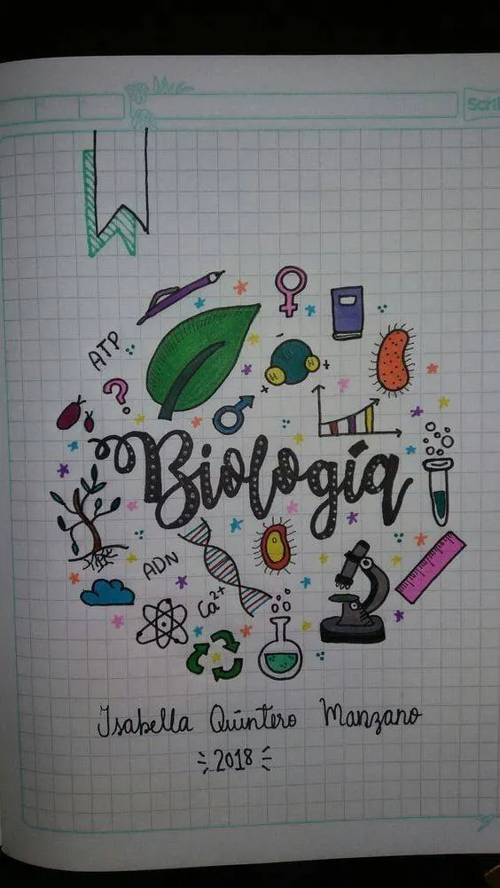 Drawing to Draw in the Creative Biology Notebook