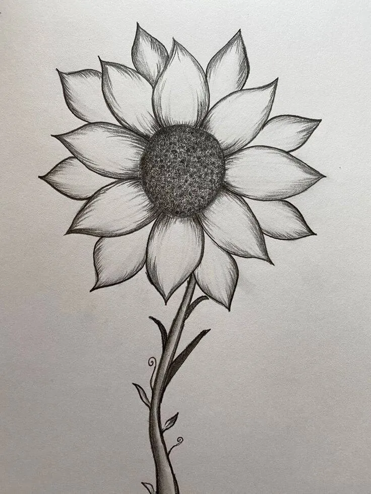 Drawing to Draw in the Beautiful Sunflower Notebook