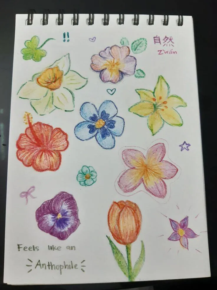 Desenho para Desenhar no Caderno de Flores Coloridas e Bonitas