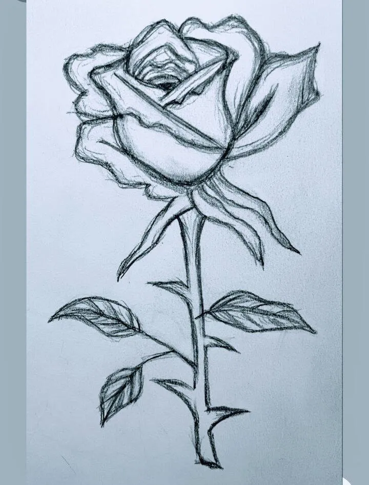 Desenho para Desenhar Bonito de uma Rosa Simples