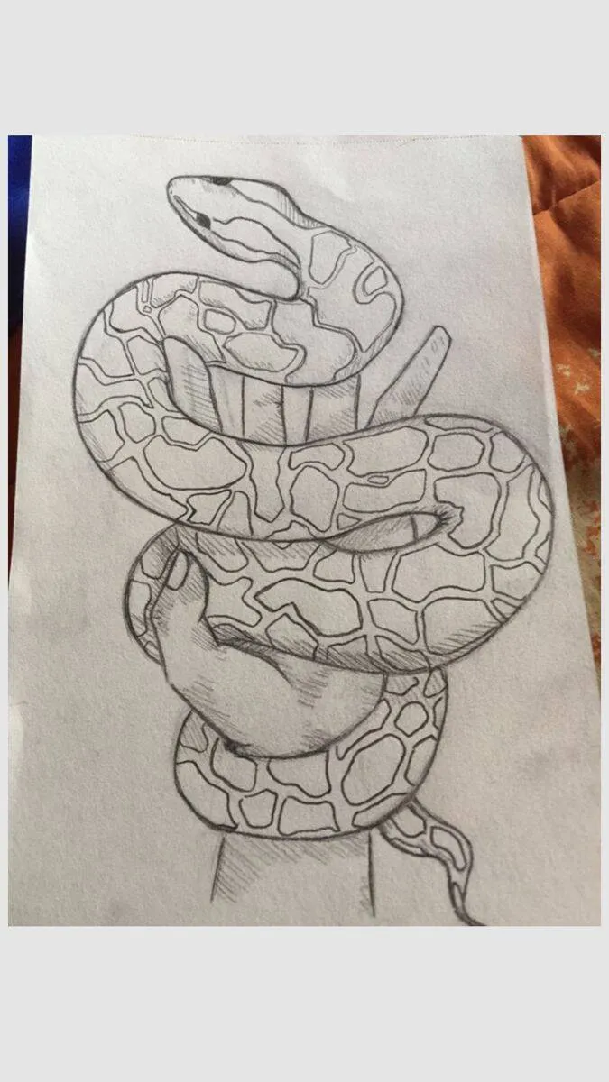 Drawing to Draw a Beautiful Snake