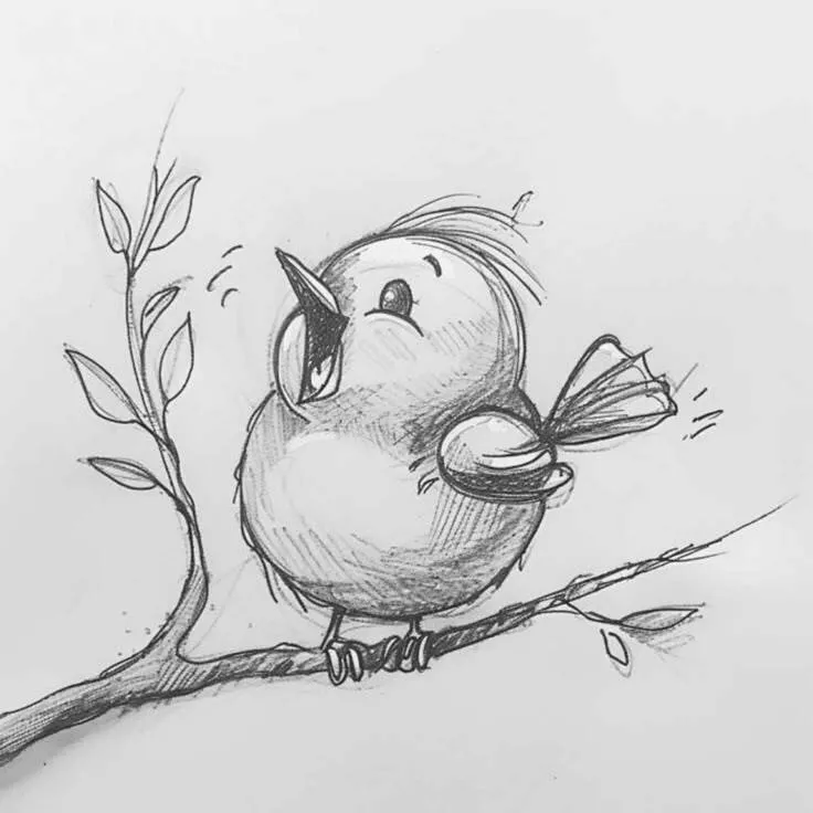 Drawing to Draw a Cute Bird