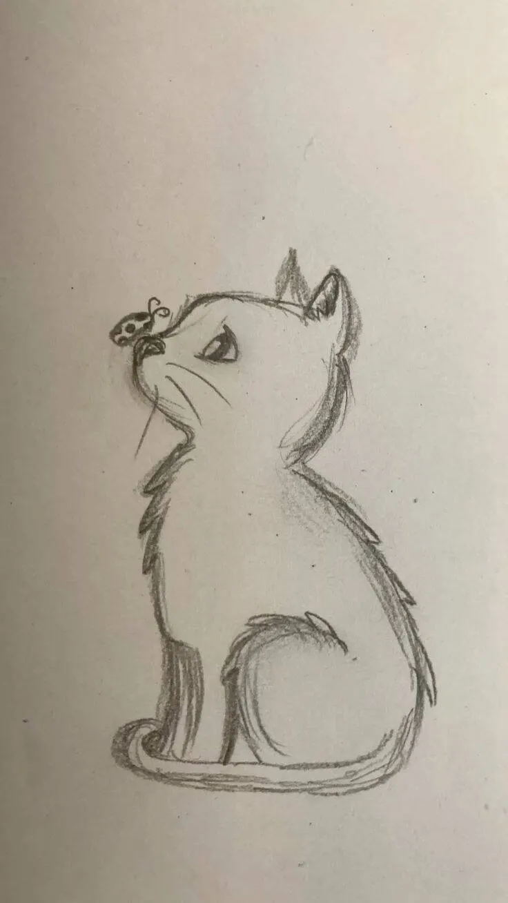 Drawing to Draw a Cute Cat with Butterfly