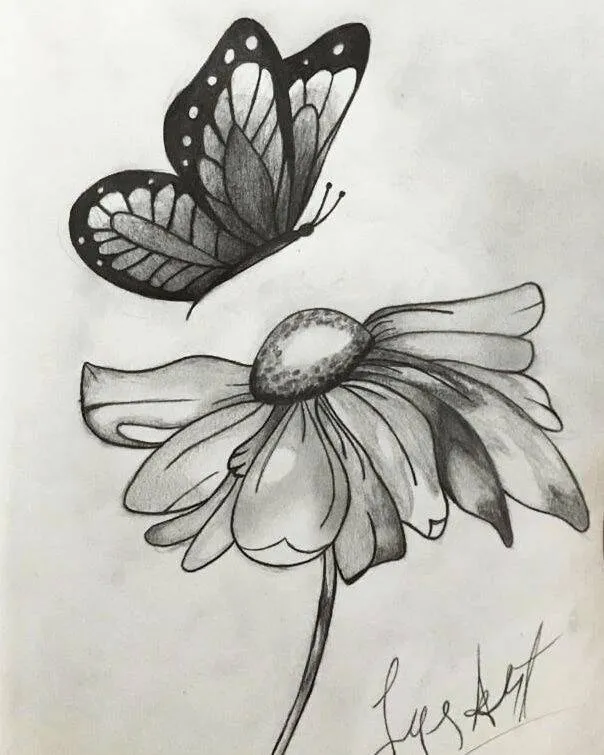 Drawing to Draw Beautiful Butterfly and Flower
