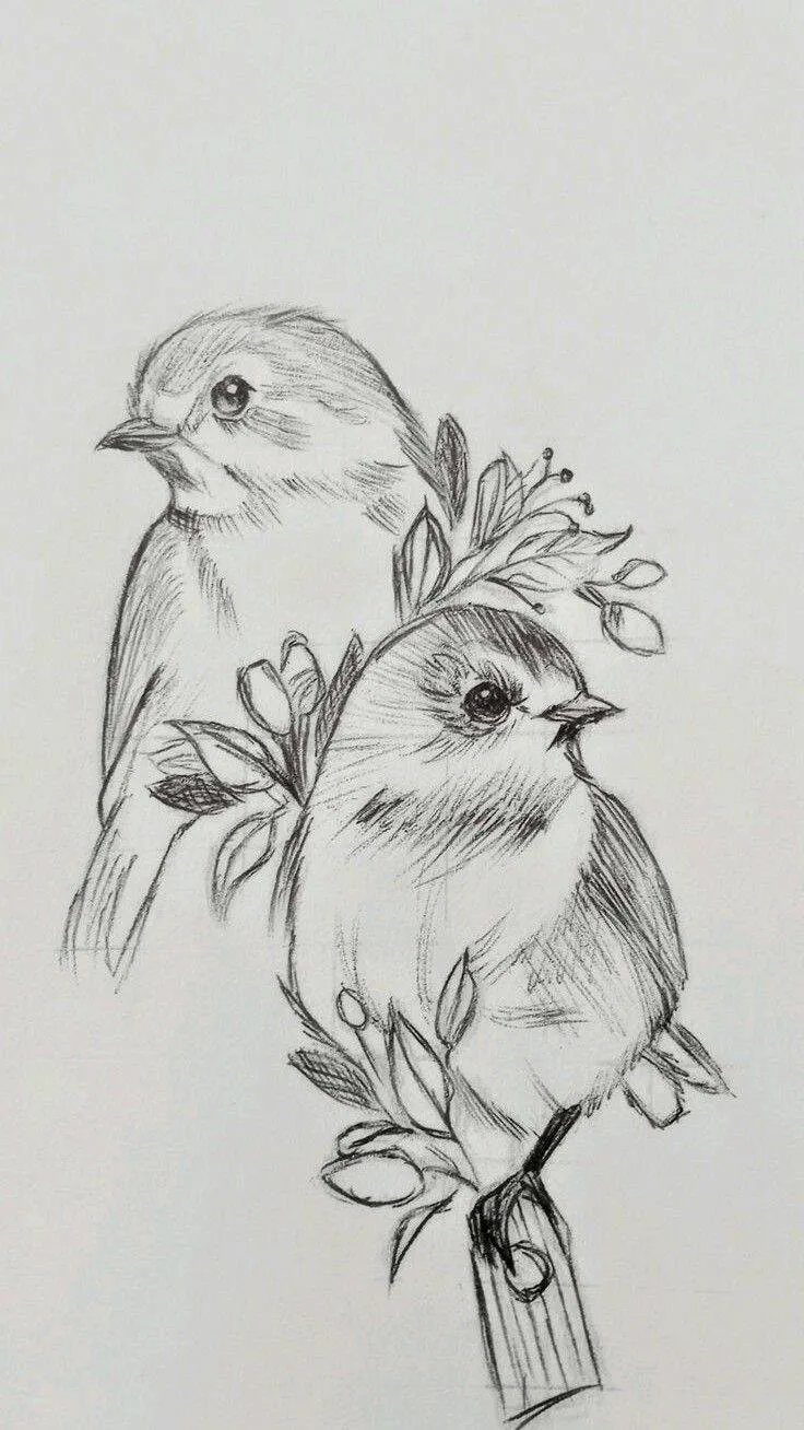 Desenho para Desenhar de Pássaros Bonitos em Galhos