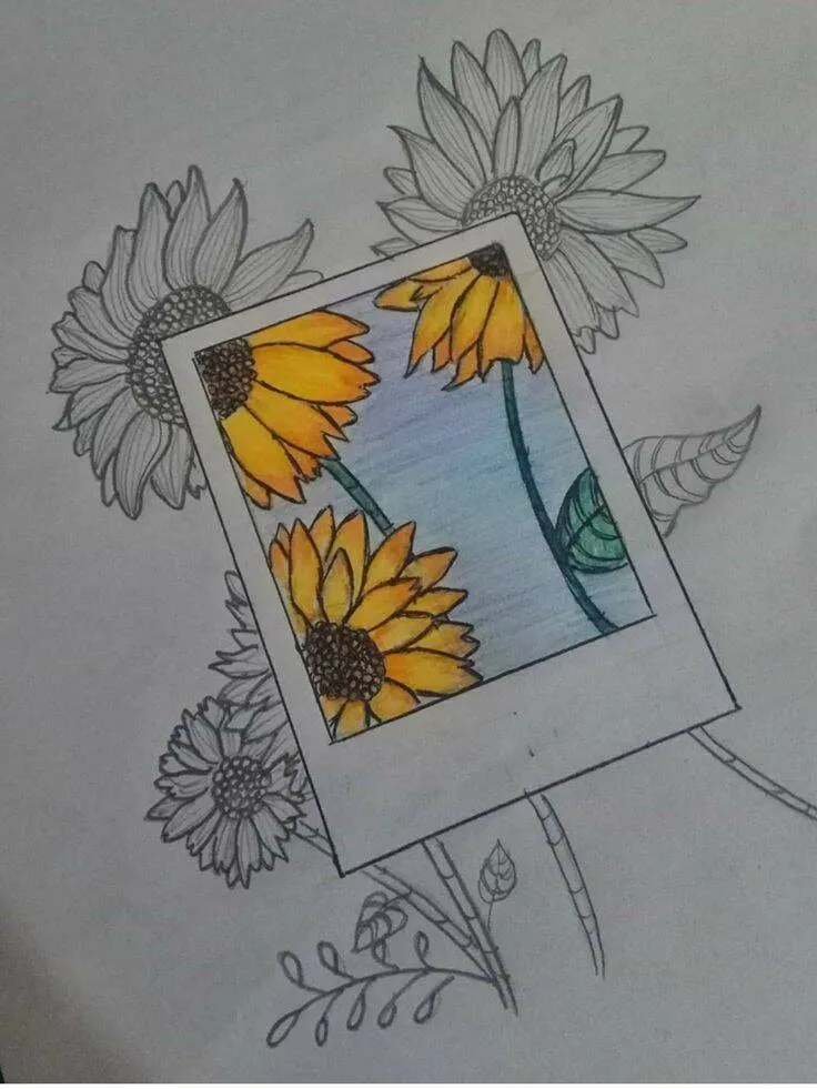 Desenho para Desenhar Bonito de Girassóis em uma Moldura