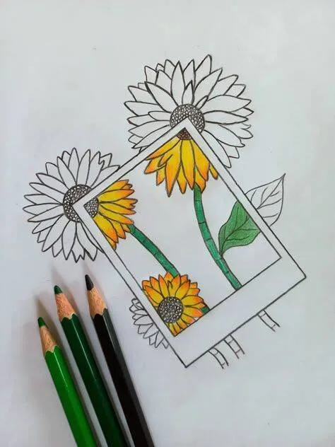 Desenho para Desenhar de Girassóis Bonitos em Moldura