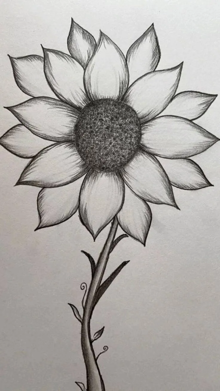 Desenho para Desenhar Bonito de um Girassol Simples