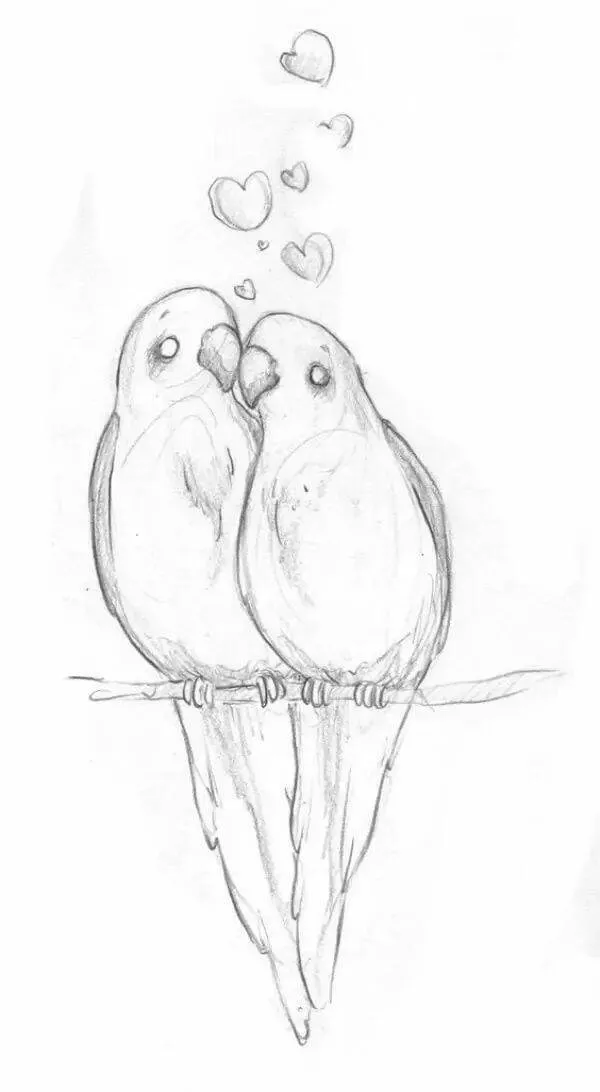 Drawing to Draw Two Birds in Love