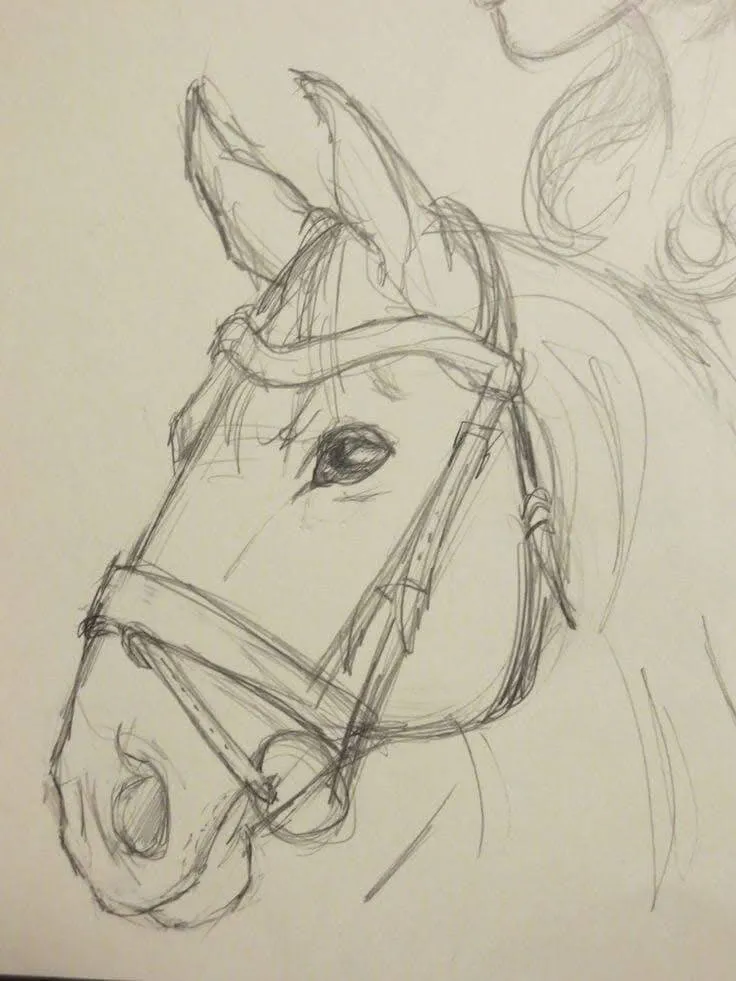 Drawing to Draw a Beautiful Horse
