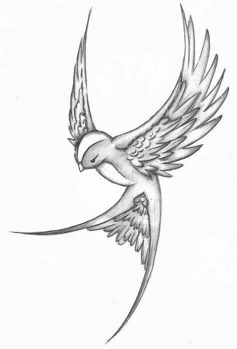 Desenho para Desenhar de Pássaro Elegante