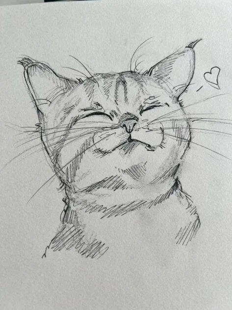 Drawing to Draw a Cute Cat
