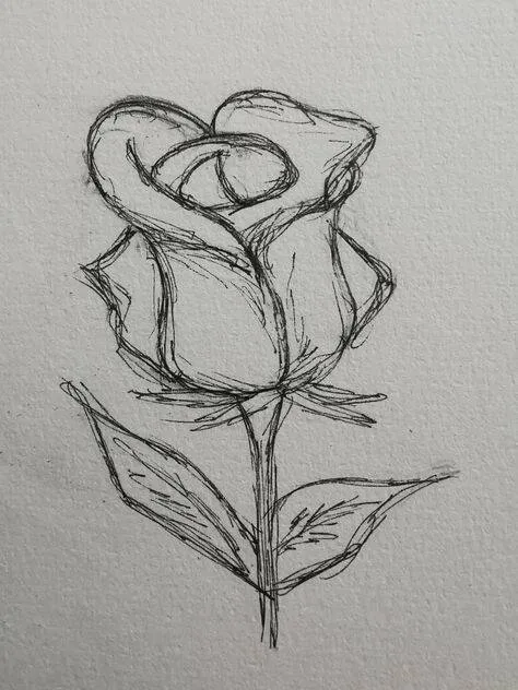 Desenho para Desenhar Bonito de uma Rosa Simples