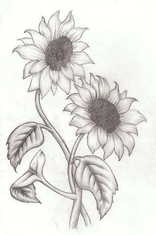 Desenho para Desenhar Bonito de Girassóis