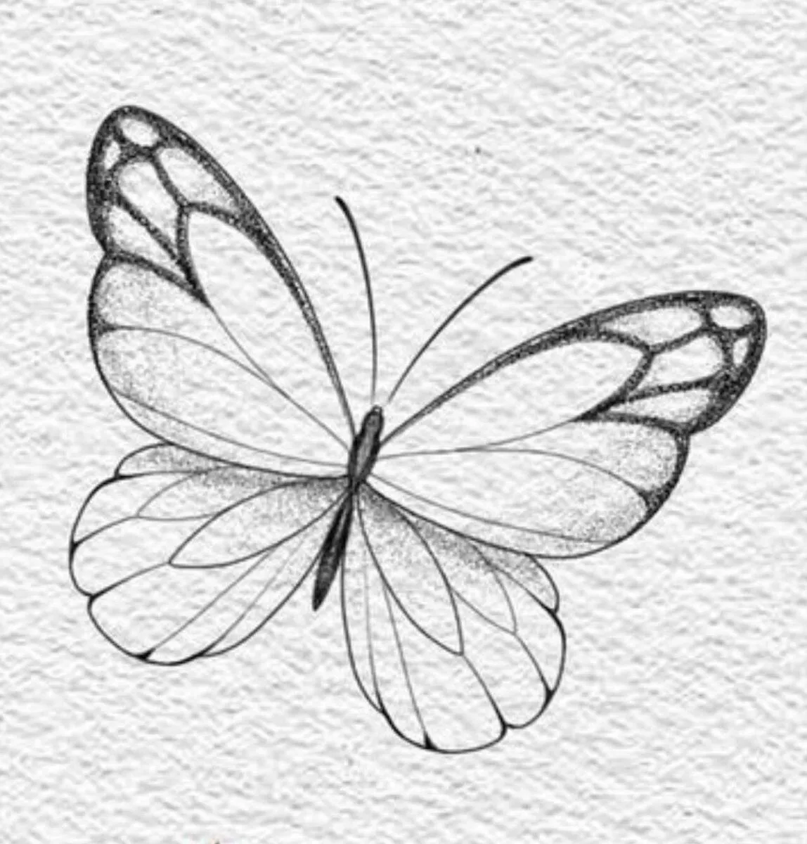 Desenho Fofo para Desenhar de Borboleta Colorida