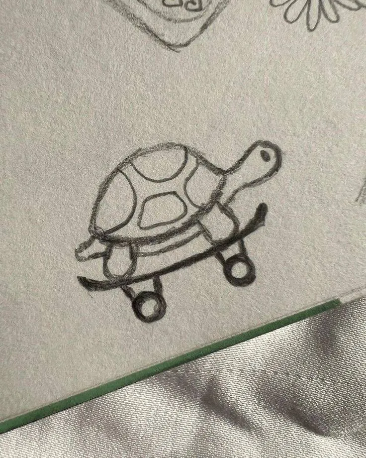 Cute Drawing of a Turtle Riding a Skateboard