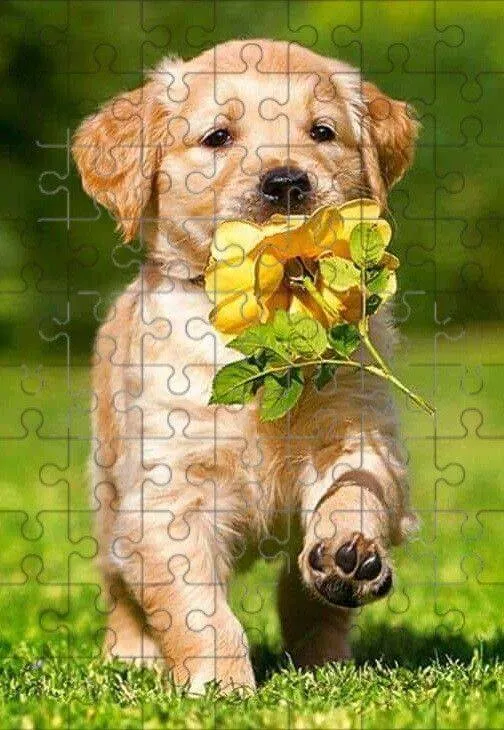 Quebra Cabeça para Imprimir do Cachorrinho com Flor