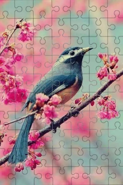Quebra Cabeça para Imprimir do Pássaro em Flor