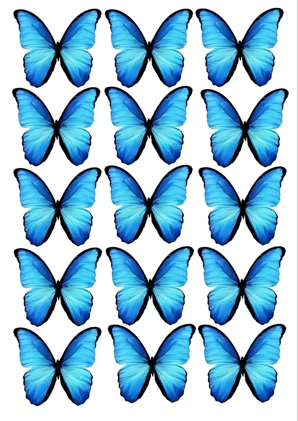 Molde de Borboleta Azul para Imprimir e Colorir em Grande Quantidade