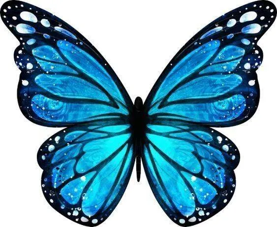 Molde de Borboleta Azul para Imprimir e Colorir com Detalhes Intricados