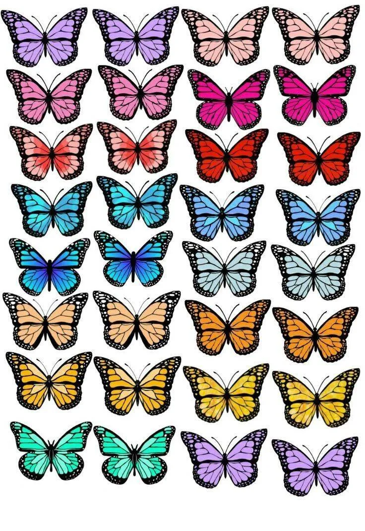 Molde de Borboletas Coloridas para Imprimir e Colorir