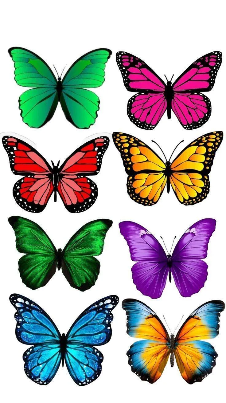 Molde de Borboleta Colorida para Imprimir e Colorir com Várias Cores