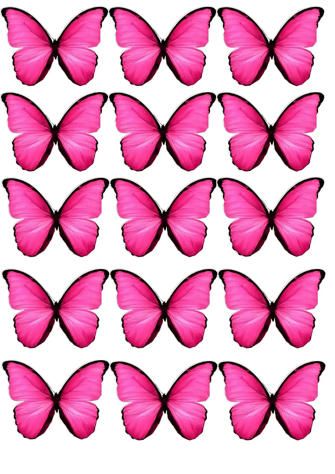 Molde de Borboleta Rosa para Imprimir e Colorir