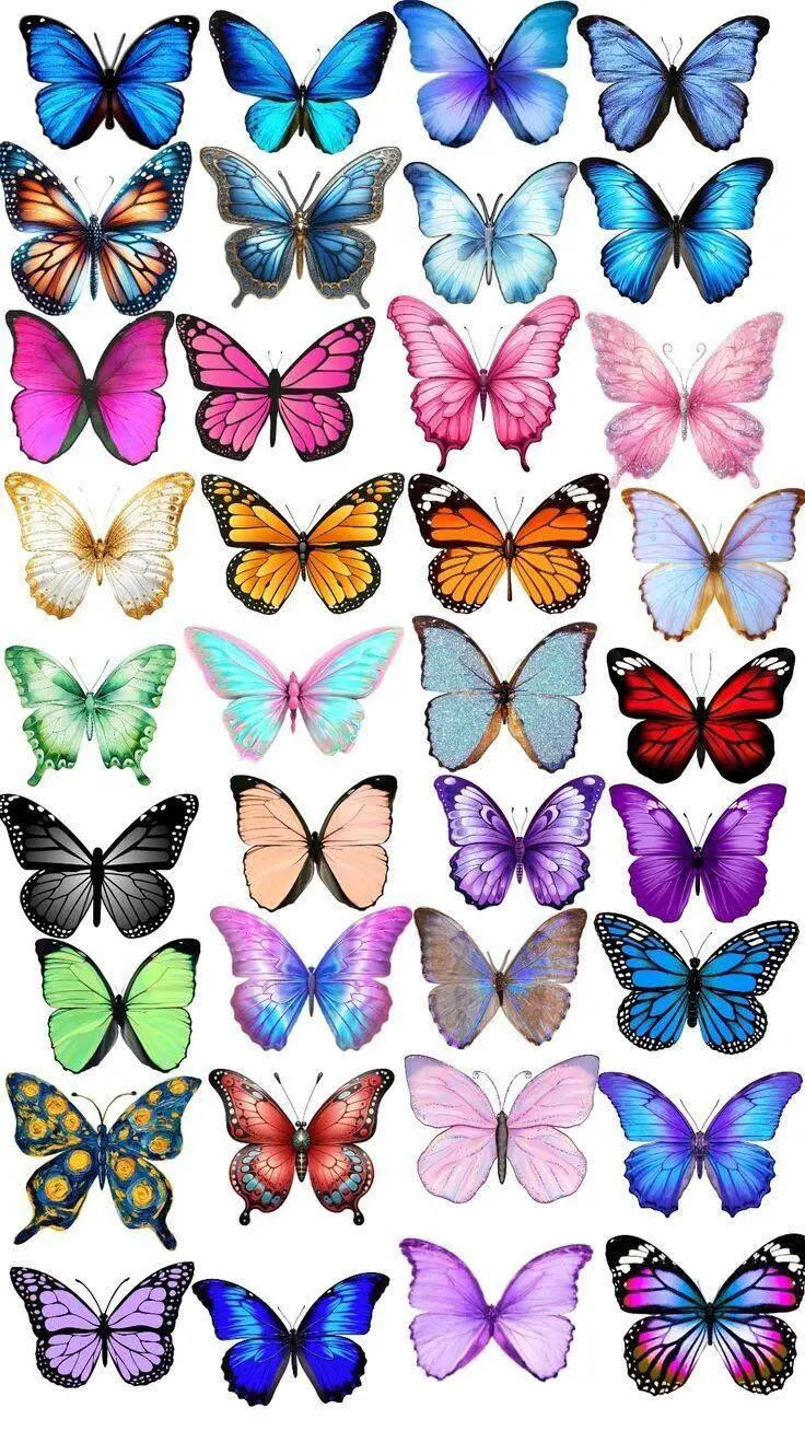 Molde de Borboletas Coloridas para Imprimir e Colorir
