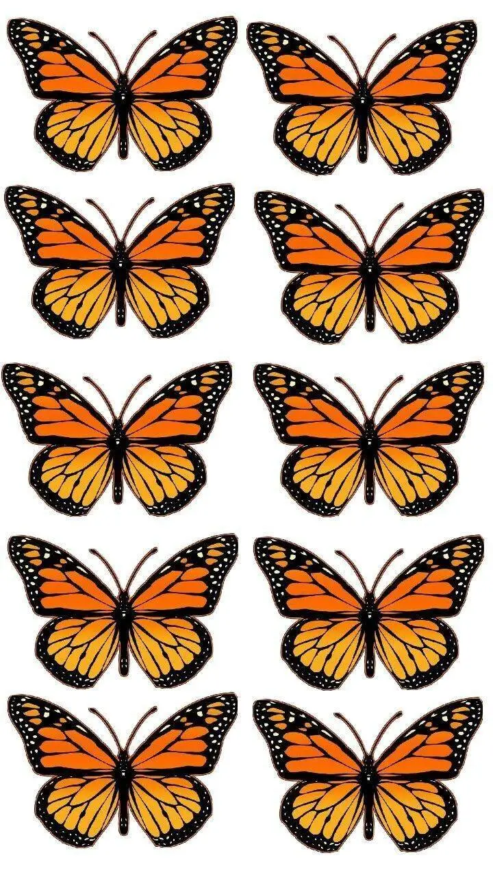 Molde de Borboleta para Imprimir com Asas Laranjas e Pretas