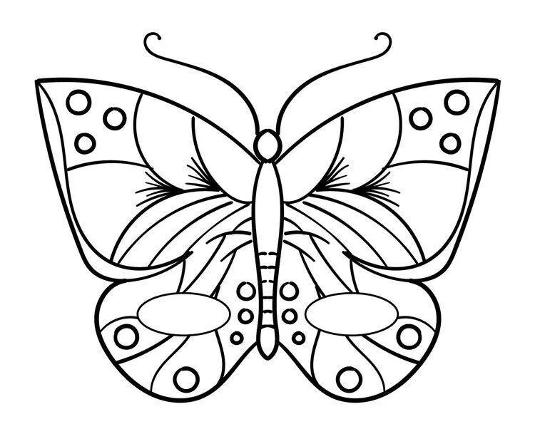 Molde de Borboleta para Imprimir com Design Detalhado para Colorir