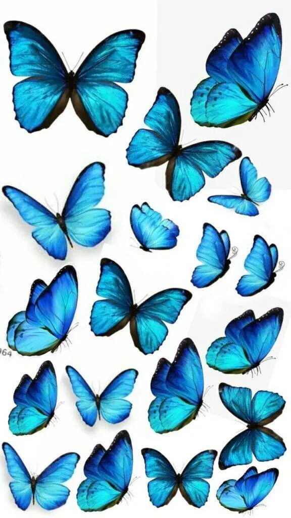 Molde de Borboleta Azul para Imprimir e Colorir com Detalhes Intrincados