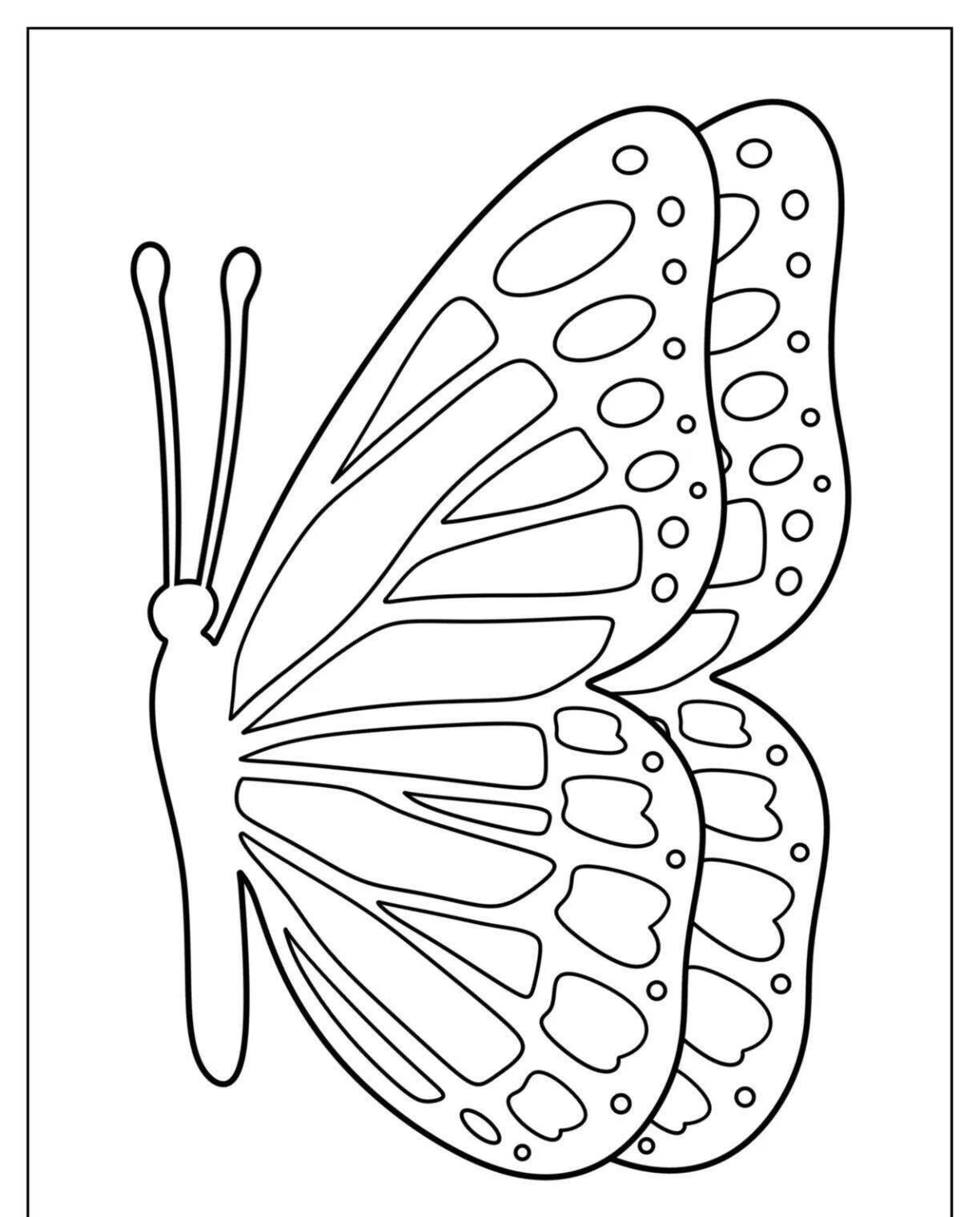 Molde de Borboleta para Imprimir com Asas Coloridas e Detalhadas