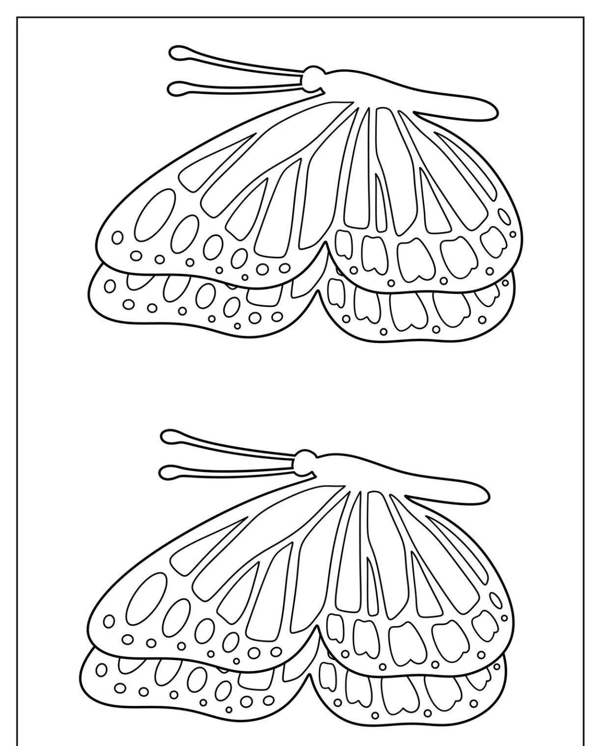 Molde de Borboleta para Imprimir com Duas Asas Detalhadas